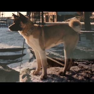 Meet your Posher, Cora